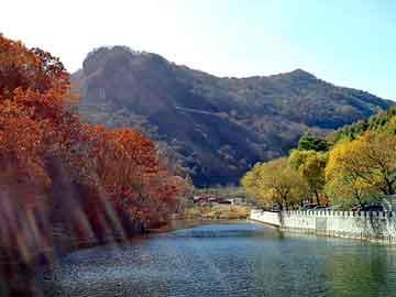 管家婆黑白马报图库，广州家居饰品批发